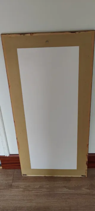 Cuadro  Lámina Decorativa Figura Floral