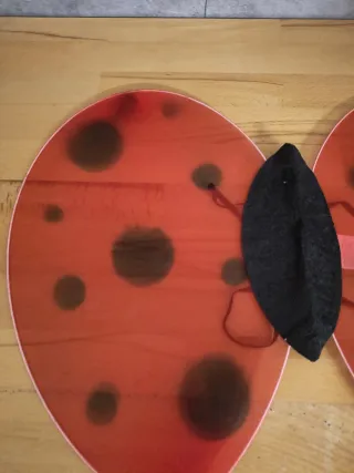 Alas y antenas mariquita disfraz