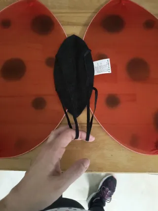 Alas y antenas mariquita disfraz