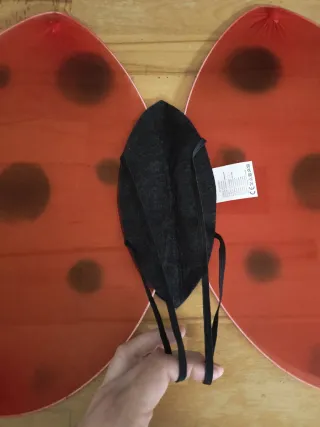 Alas y antenas mariquita disfraz