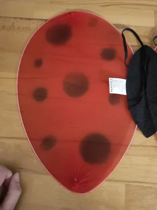 Alas y antenas mariquita disfraz