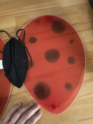 Alas y antenas mariquita disfraz