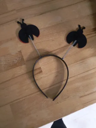 Alas y antenas mariquita disfraz