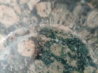 Fuente de cristal ovalada.