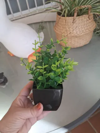 3 Plantas Mini Decorativas