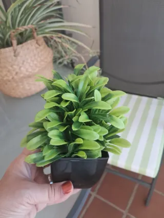 3 Plantas Mini Decorativas