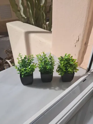 3 Plantas Mini Decorativas