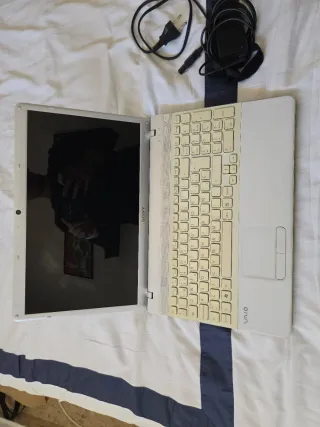 Portátil Sony VAIO Plata