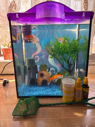 Pecera con accesorios