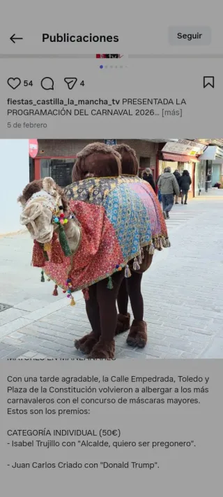 Disfraz camello carnaval realista