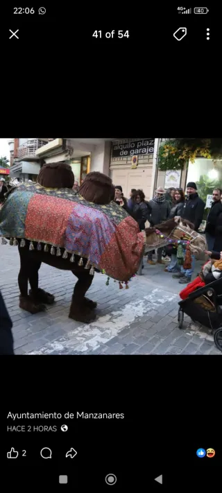 Disfraz camello carnaval realista