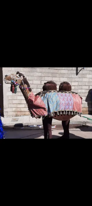 Disfraz camello carnaval realista