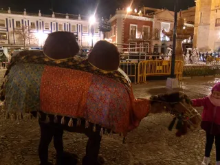 Disfraz camello carnaval realista