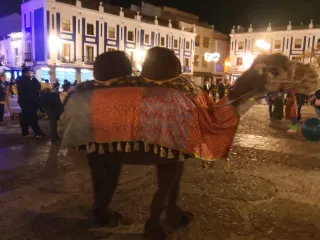 Disfraz camello carnaval realista