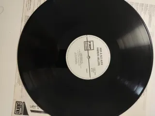 Andreas Willers - Chitarre Elettriche e Acustiche