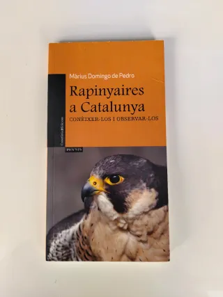 Rapinyaires a Catalunya