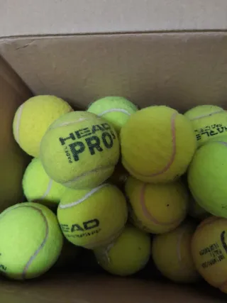 22 Pelotas de Tenis varias marcas