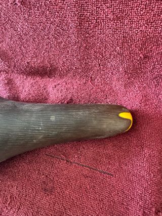 Sillín Selle Italia Turbomatic Titanium