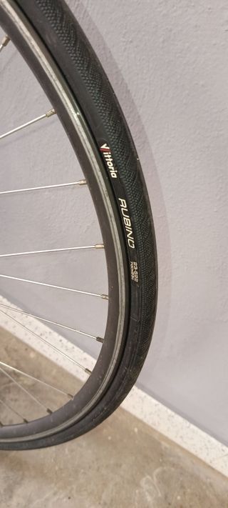 Bicicleta Carretera Zeus 1994 Campagnolo