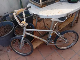 Bicicleta BH California