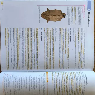 Lengua castellana y literatura. 1 Bachillerato....