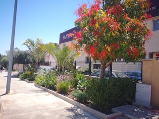 JARDINERIA PROFESIONAL