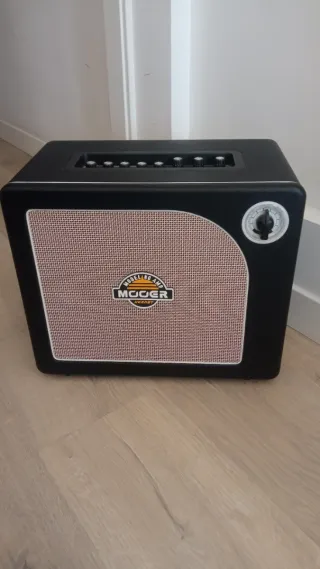 Amplificador Guitarra Eléctrica Hornet 30W
