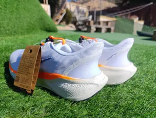 Nike Pegasus EasyOn FP