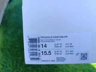 Nike Pegasus EasyOn FP