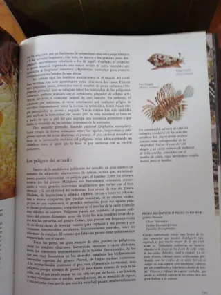 Enciclopedia Fauna