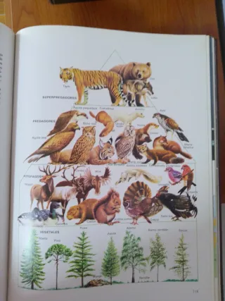 Enciclopedia Fauna