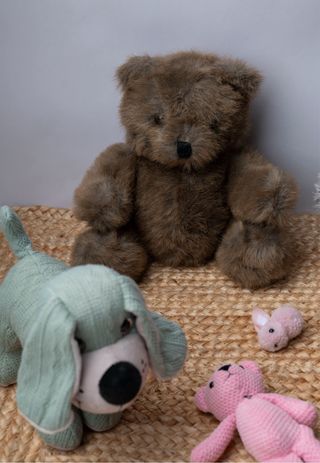 Lote 17 Peluches Variados sesiones de fotos