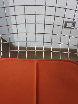 Sedia Bertoia Design