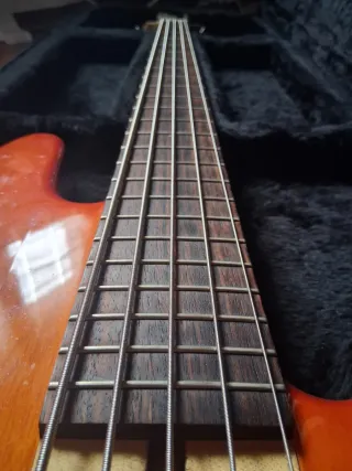 Bajo Elrick EXPAT NJS 5 Cuerdas