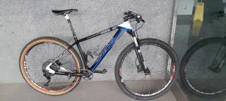 Bicicleta Montaña Carbono Haibike Greed Team