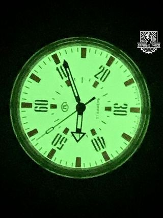 Vostok Amphibia Pripyat Correa. Nuevo a estrenar!