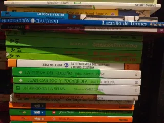 Libro Infantil-juvenil Primaria+ESO