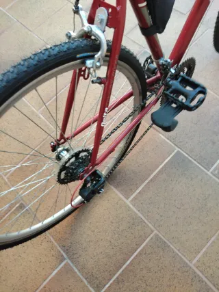 Bicicleta de paseo roja