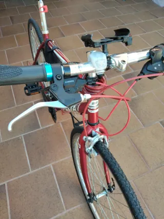 Bicicleta de paseo roja