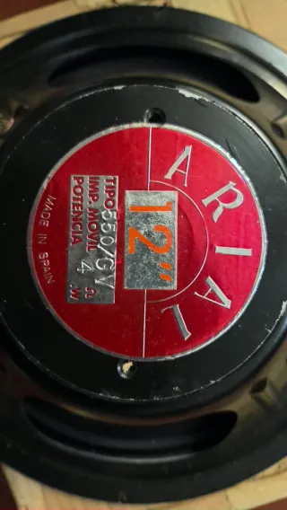 Lote Altavoces Profesionales