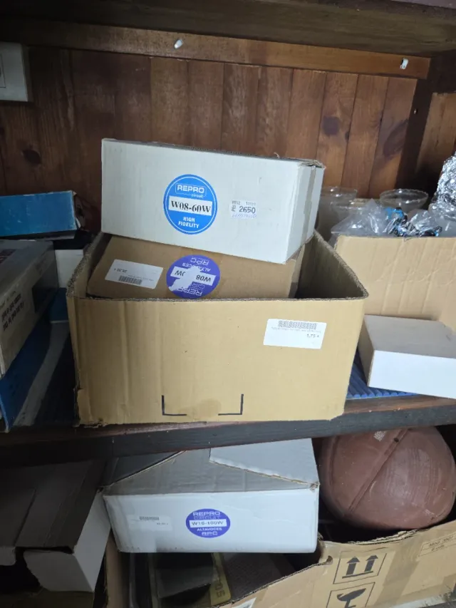 Lote Altavoces Profesionales