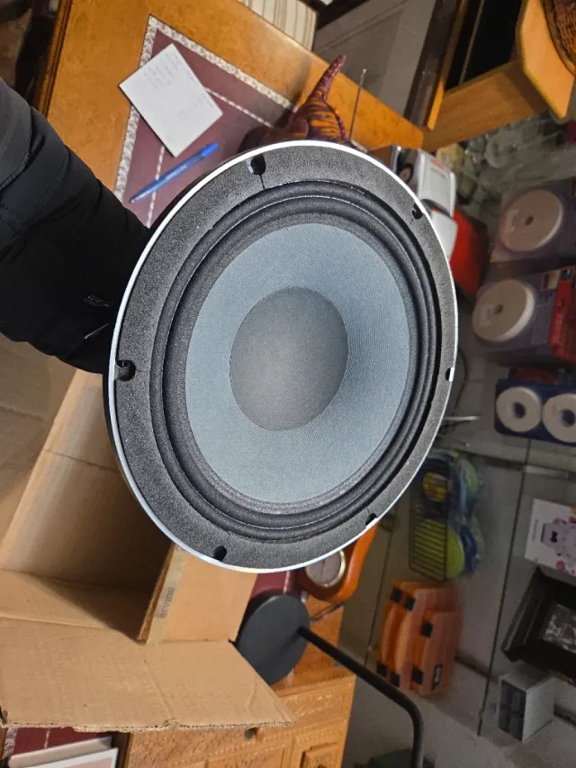 Lote Altavoces Profesionales