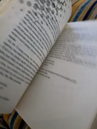 Telefonemas do Nilton (Portuguese Edition)