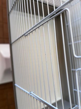 Gabbia per uccelli con piedistallo