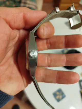 San Martin Reloj Gris/Verde Oliva