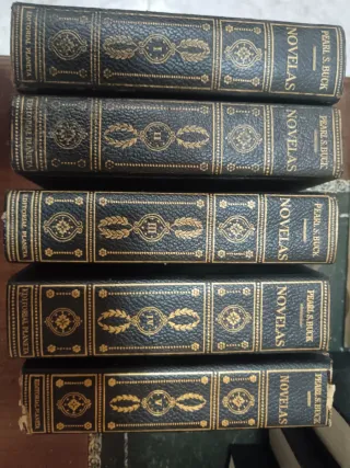 Lote 16 novelas diferentes autores.Editorial plane