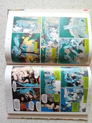 The Punisher: Diario de guerra Panini Comics