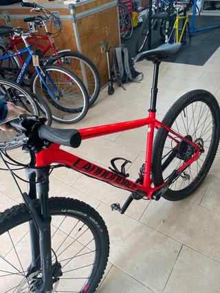 Bici Mtb Cannondale Carbono 29'