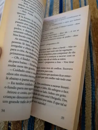 Os cinco e os espiões