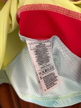 Camiseta Eurocopa 2024 Joselu 9 España